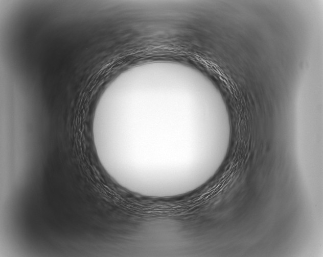X0000099231445200804241219