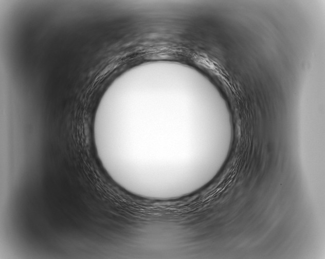 X0000099231446200804241219