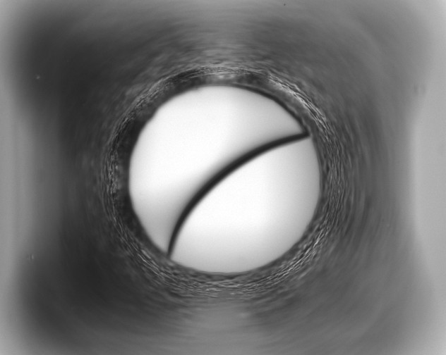 X0000099231447200804241219