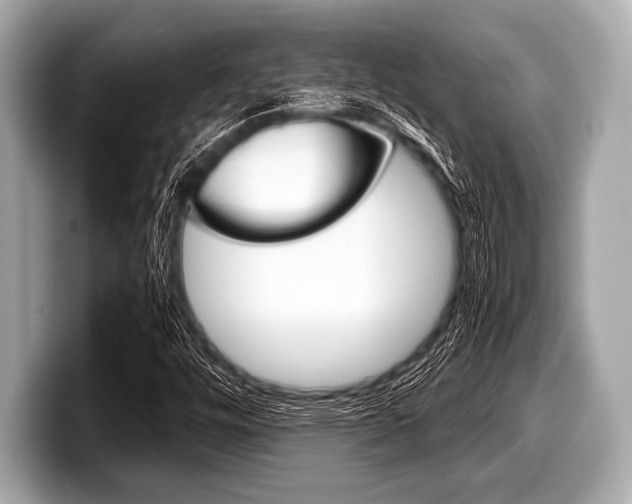 X0000099231448200804241219