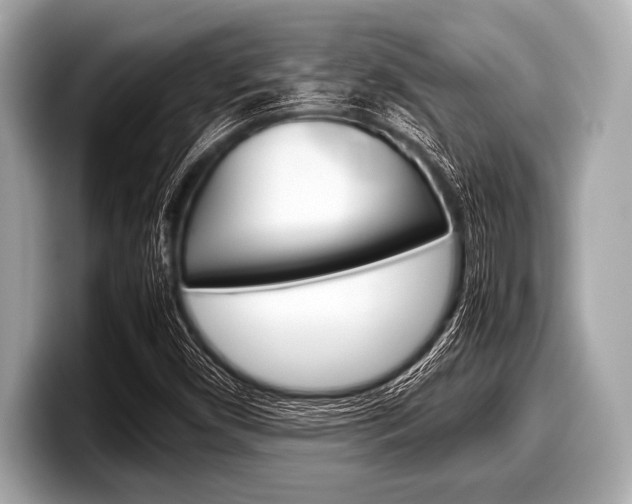 X0000099231450200804241219