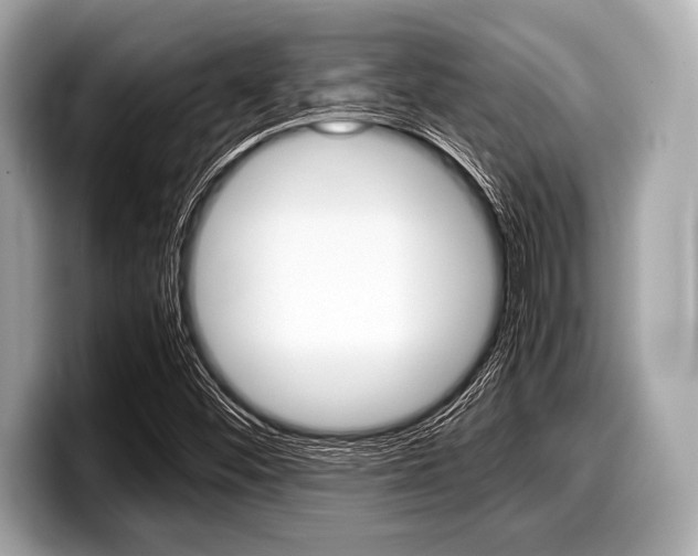X0000099231452200804241219