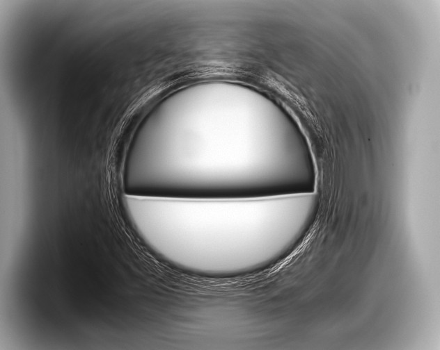 X0000099231453200804241219