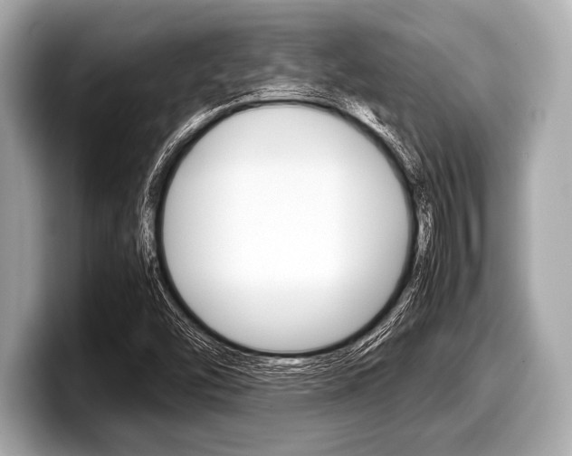 X0000099231454200804241219