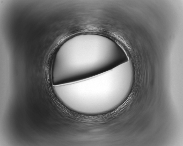X0000099231455200804241219