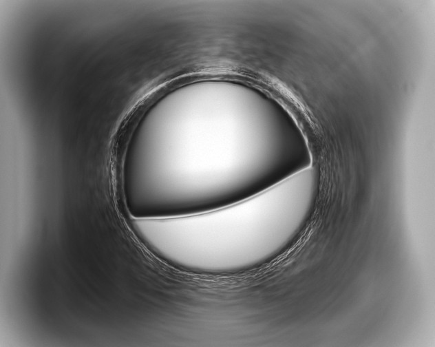 X0000099231456200804241219