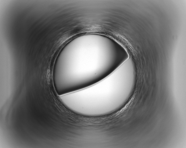 X0000099231457200804241219