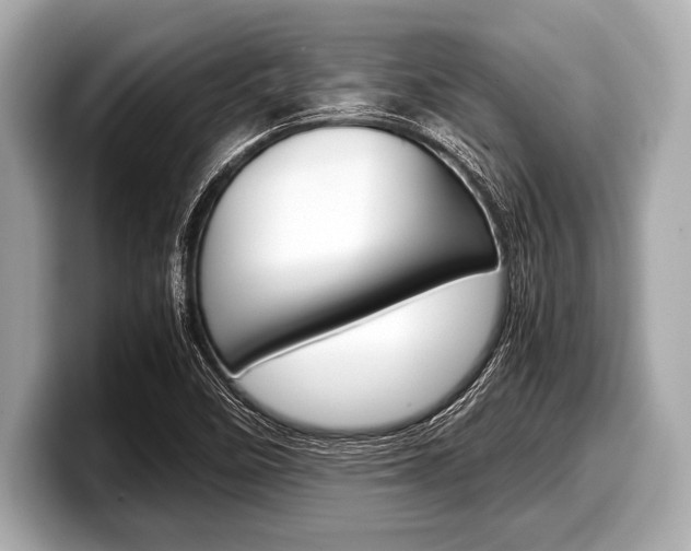 X0000099231458200804241219