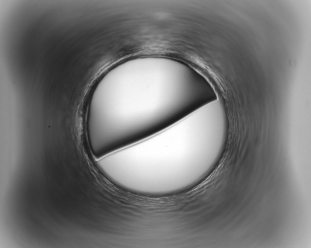 X0000099231459200804241219