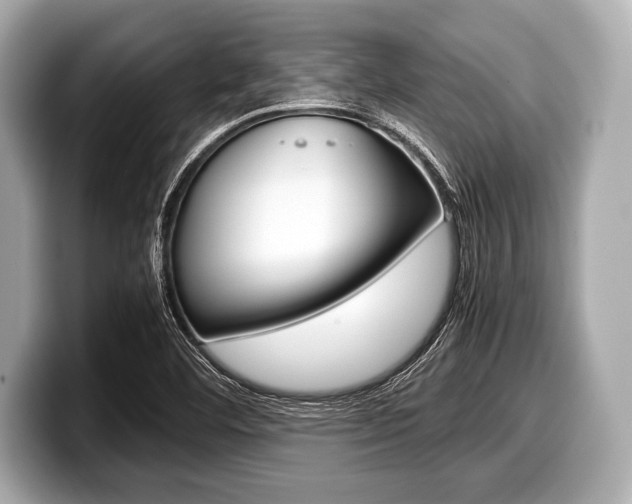 X0000099231460200804241219