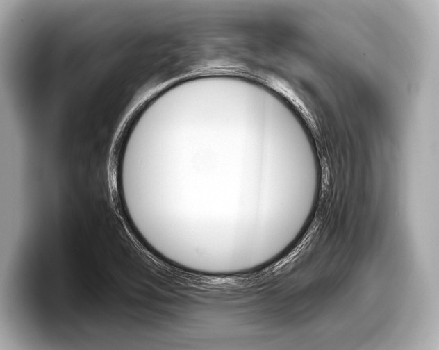 X0000099231462200804241219