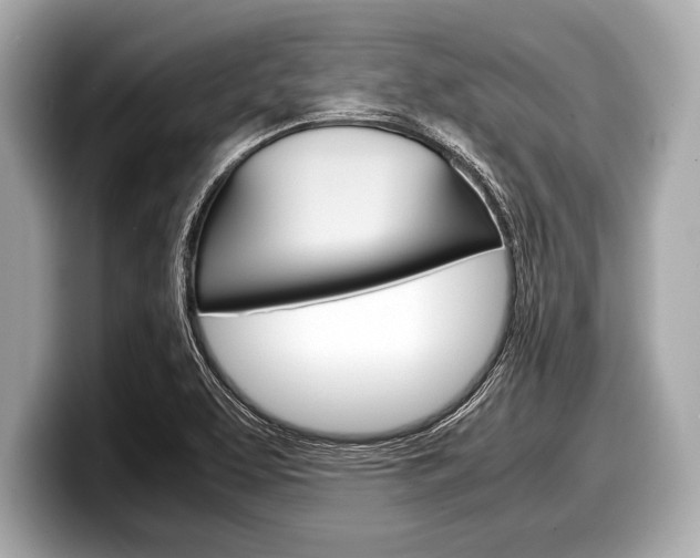X0000099231463200804241219