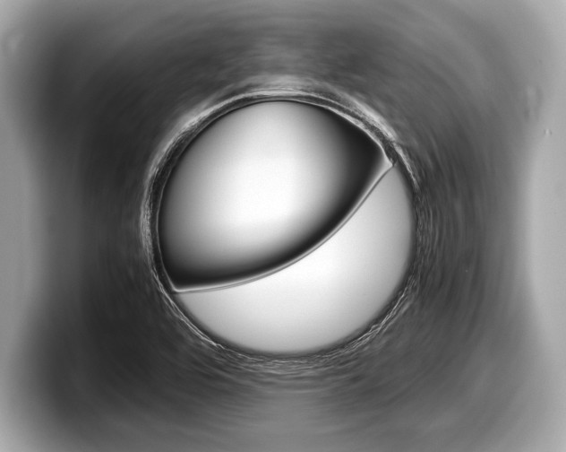 X0000099231464200804241219