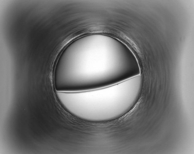 X0000099231465200804241219