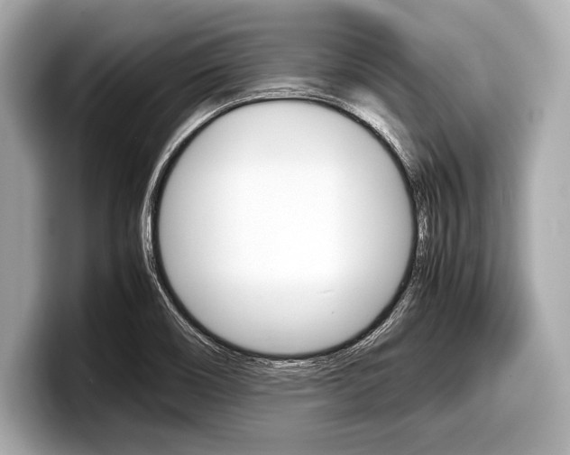 X0000099231466200804241219