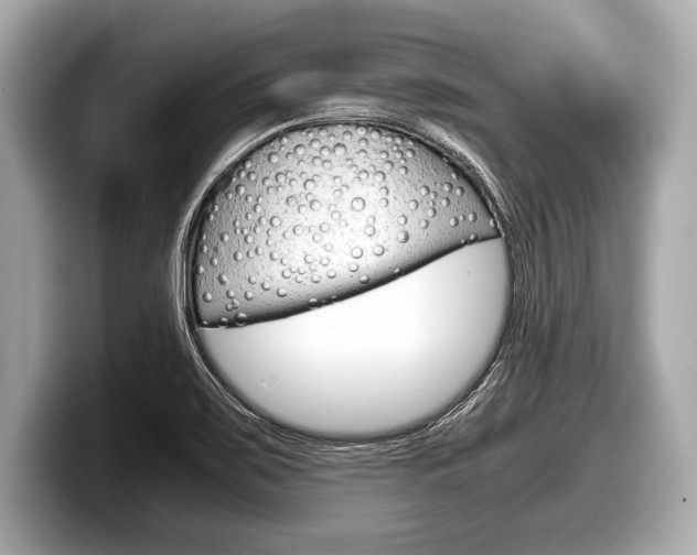 X0000099231467200804241219