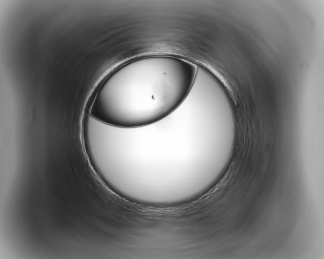 X0000099231468200804241219