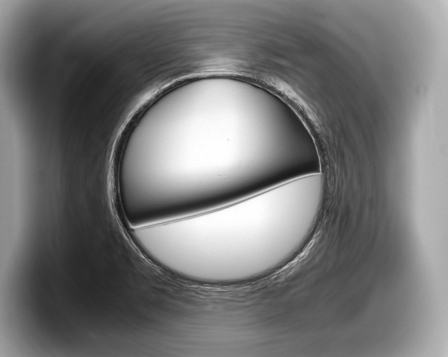 X0000099231469200804241219