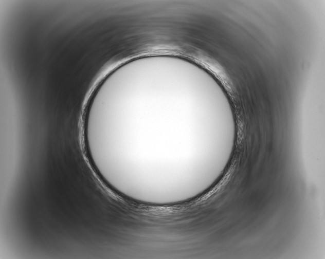 X0000099231470200804241219