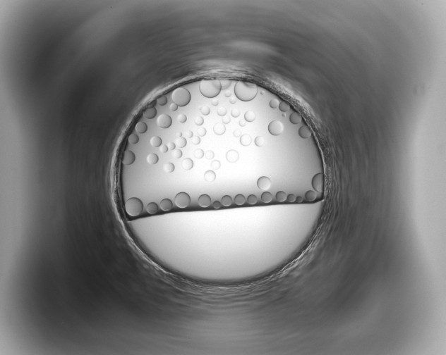 X0000099231471200804241219