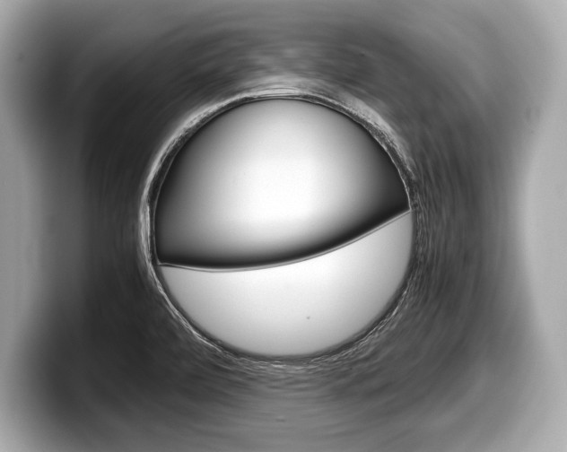 X0000099231472200804241219
