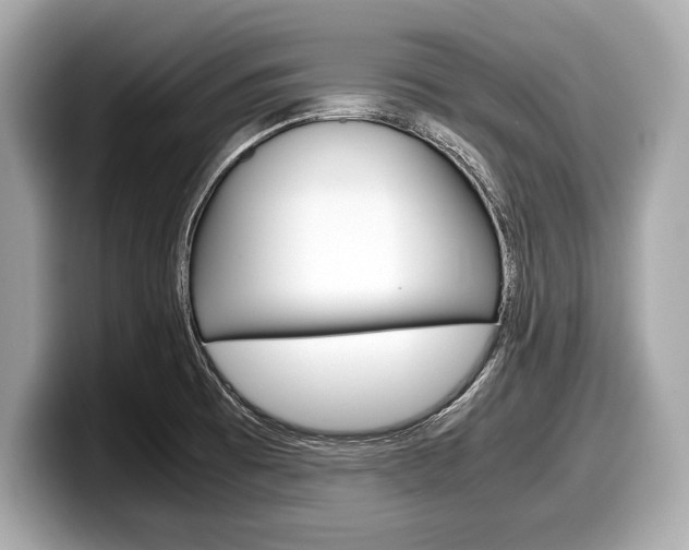 X0000099231473200804241219
