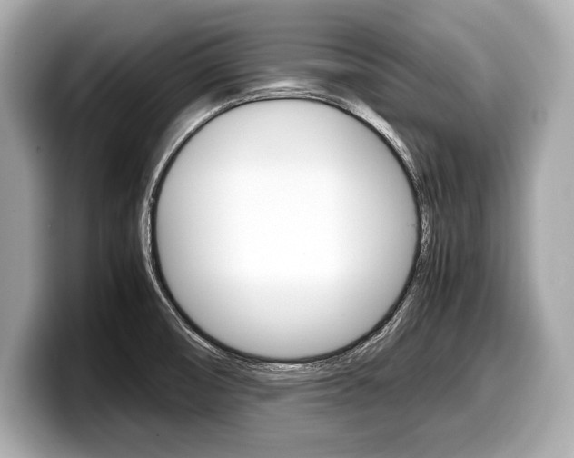 X0000099231474200804241219