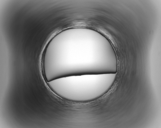 X0000099231475200804241219