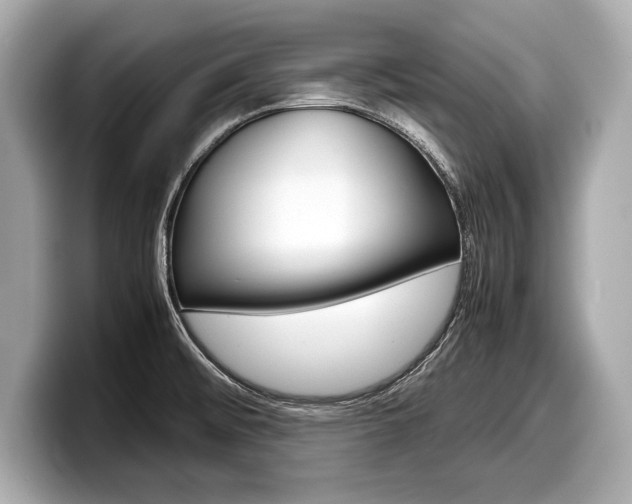 X0000099231476200804241219
