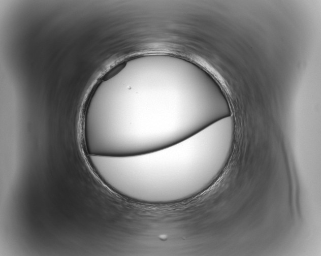 X0000099231477200804241219