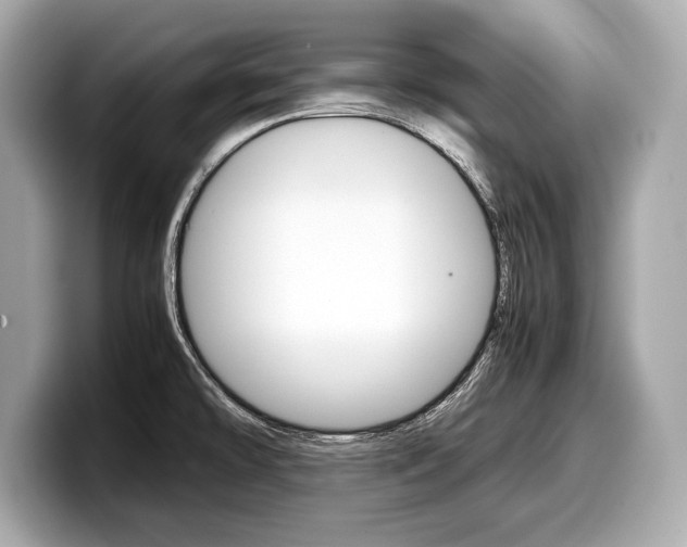 X0000099231478200804241219