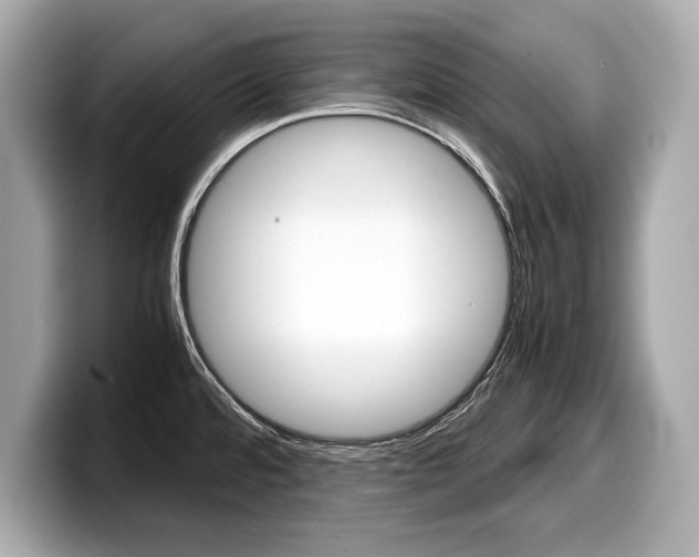 X0000099231480200804241219