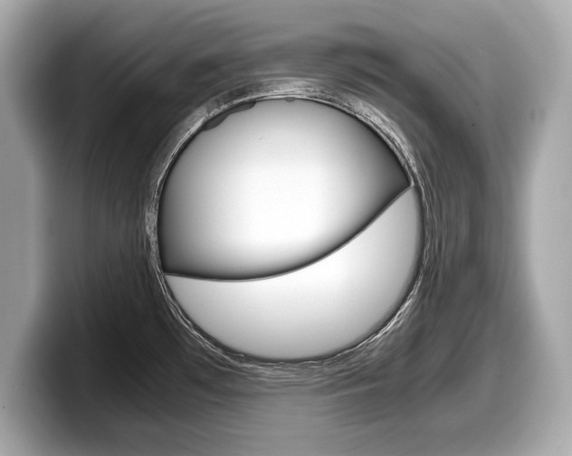 X0000099231481200804241219