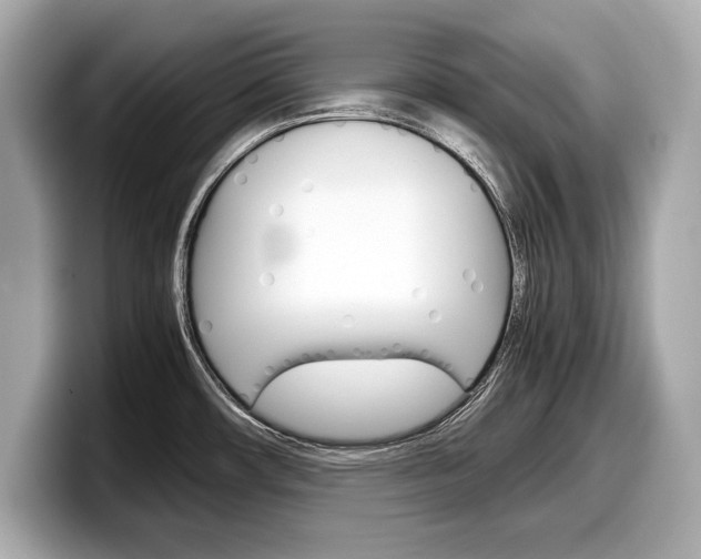 X0000099231482200804241219