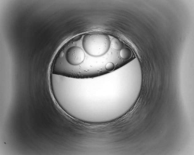 X0000099231483200804241219