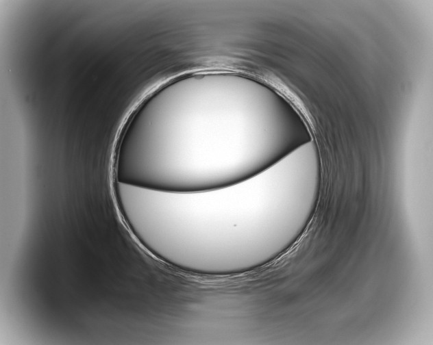 X0000099231485200804241219