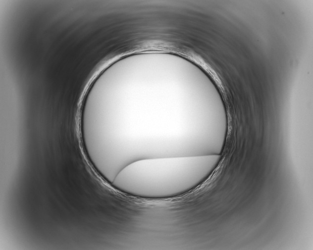 X0000099231486200804241219