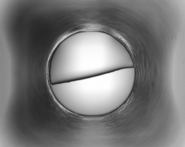 X0000099231487200804241219