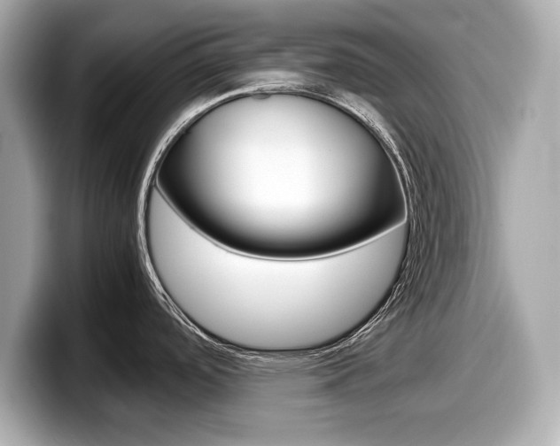 X0000099231488200804241219
