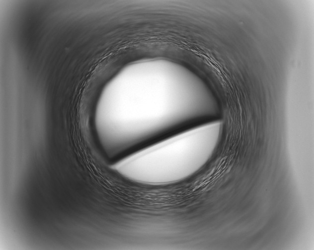 X0000099231489200804241218