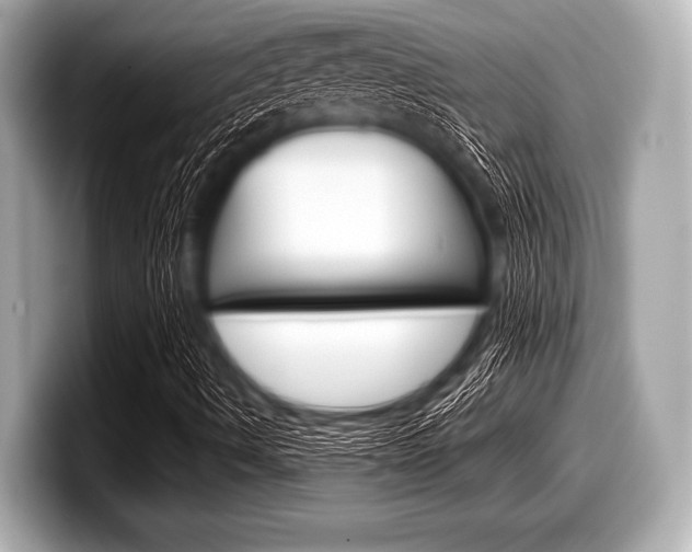 X0000099231490200804241218
