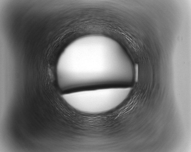 X0000099231491200804241218