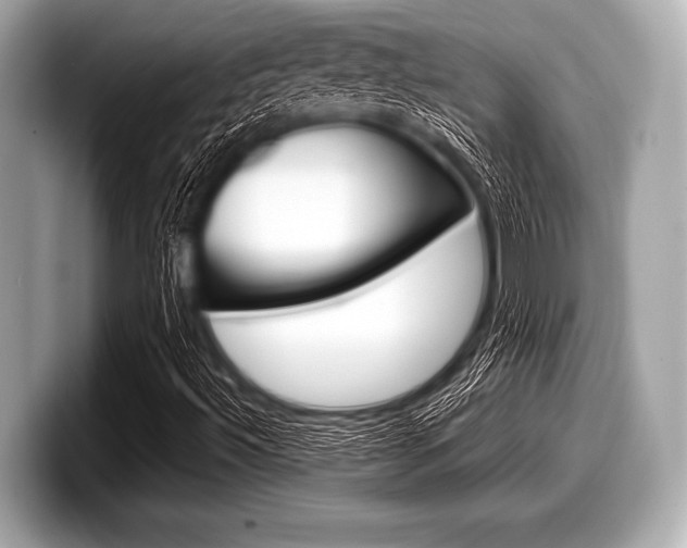 X0000099231492200804241218