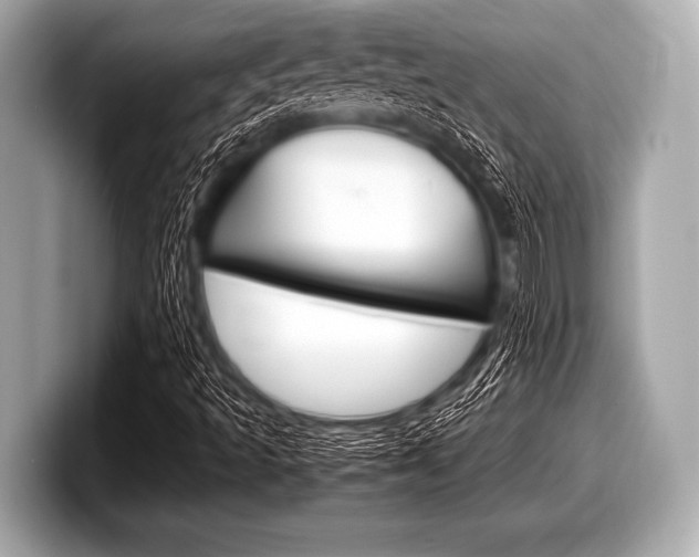 X0000099231493200804241218