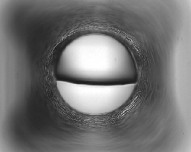 X0000099231494200804241218