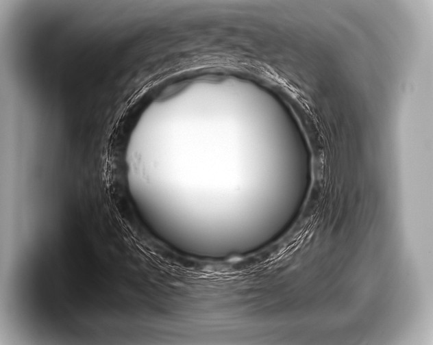 X0000099231496200804241218