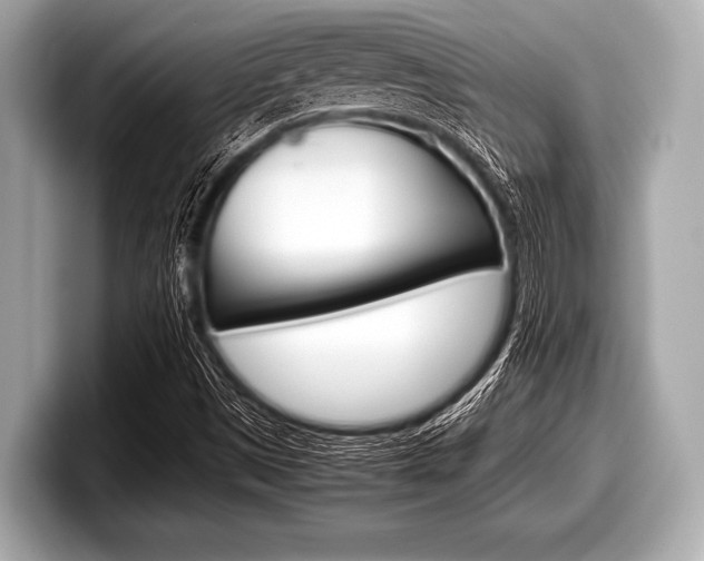 X0000099231497200804241218