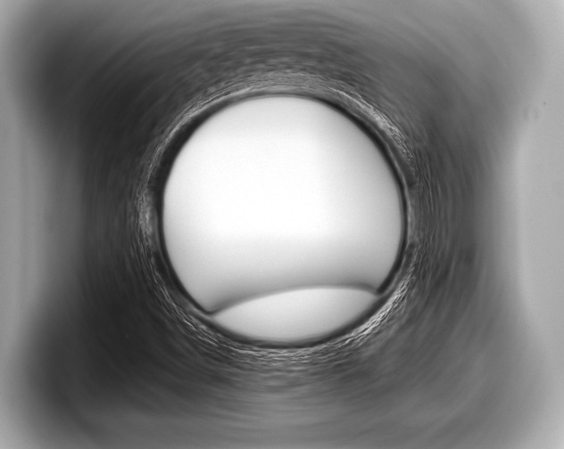 X0000099231498200804241218