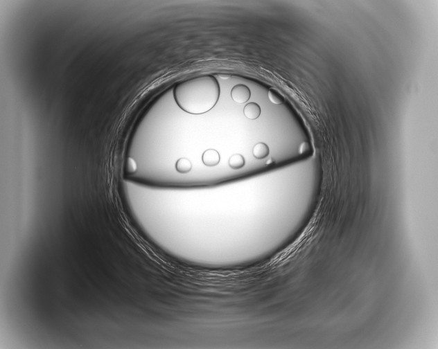 X0000099231499200804241218