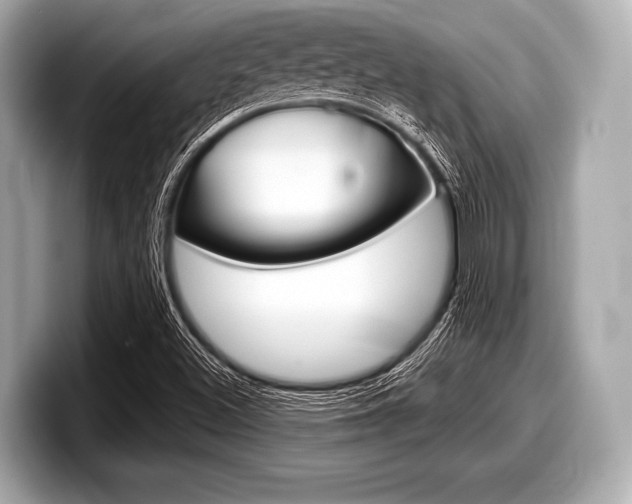 X0000099231500200804241218
